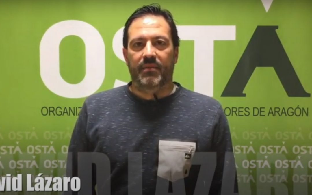 Entrevista a David Lazaro en Diario Económico