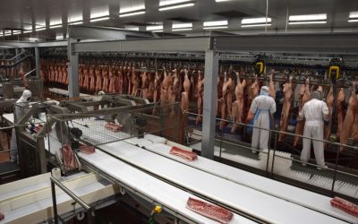 Apoyamos la Huelga en Litera Meat
