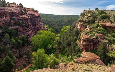 SARGA y el consejero Olona dejan la Sierra de Albarracín a merced de los incendios forestales