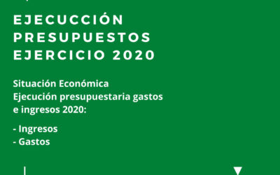 Presentación de la memoria económica del año 2020