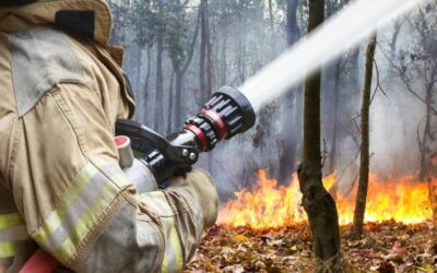 La Consejería de Medio Ambiente del Gobierno de Aragón acepta las reivindicaciones de OSTA en SARGA