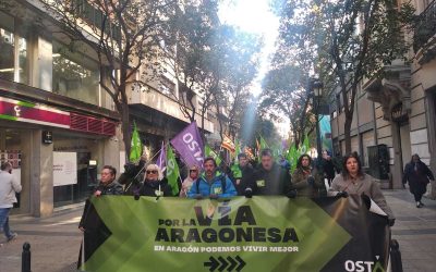 Movilizaciones en Zaragoza y Huesca por una salida justa a la crisis actual