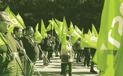 OSTA es el sindicato que más crece en el primer cuatrimestre del 2024