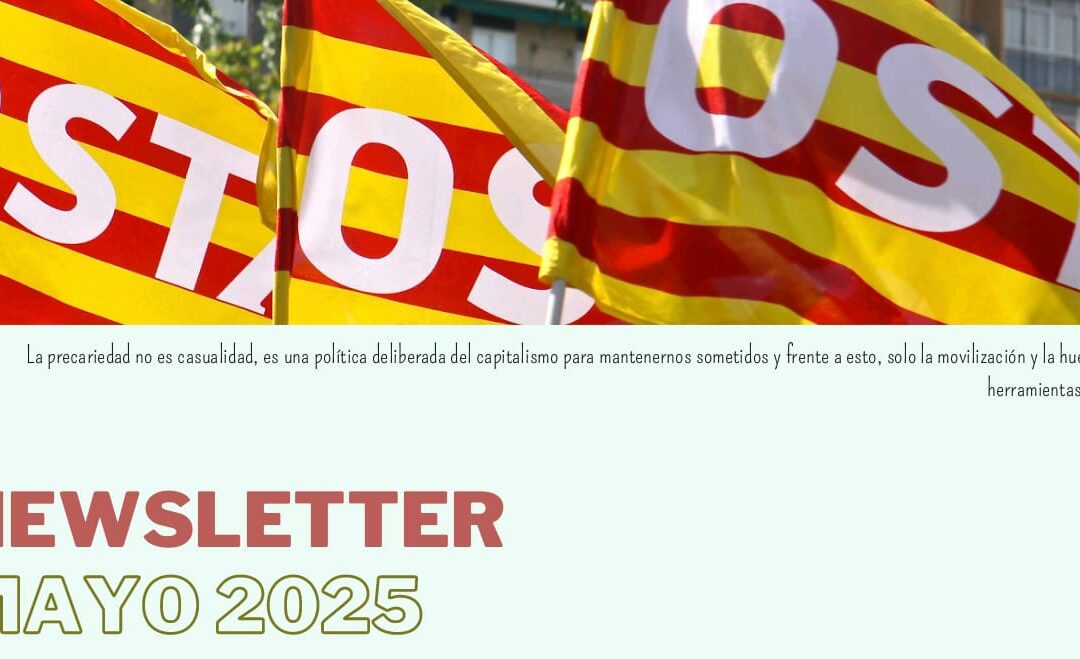 Newsletter Mayo