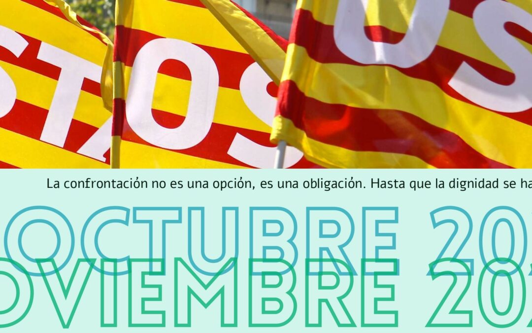 Newsletter Octubre/Noviembre