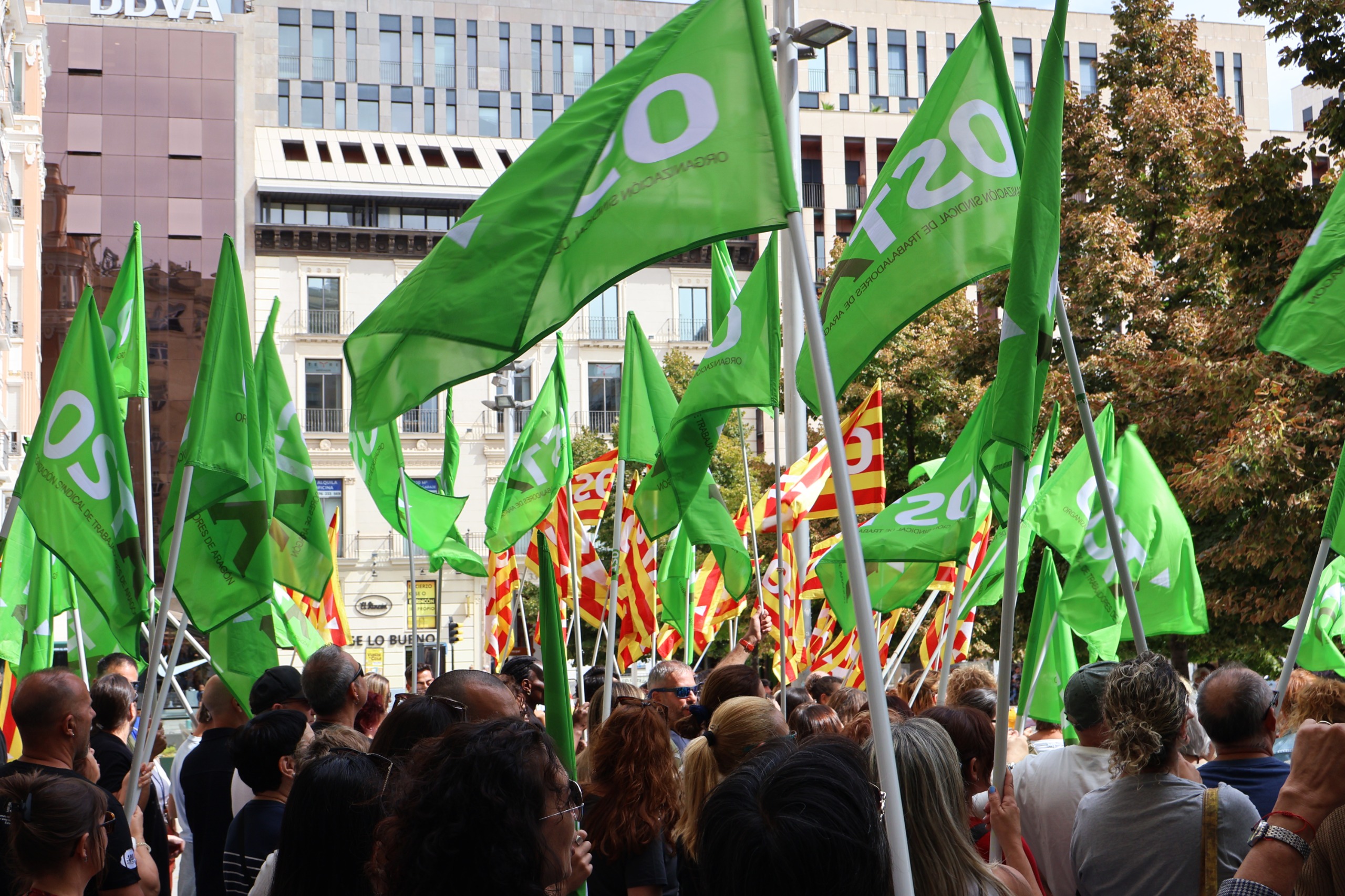 Movilización del Sector de la Dependencia y los Cuidados